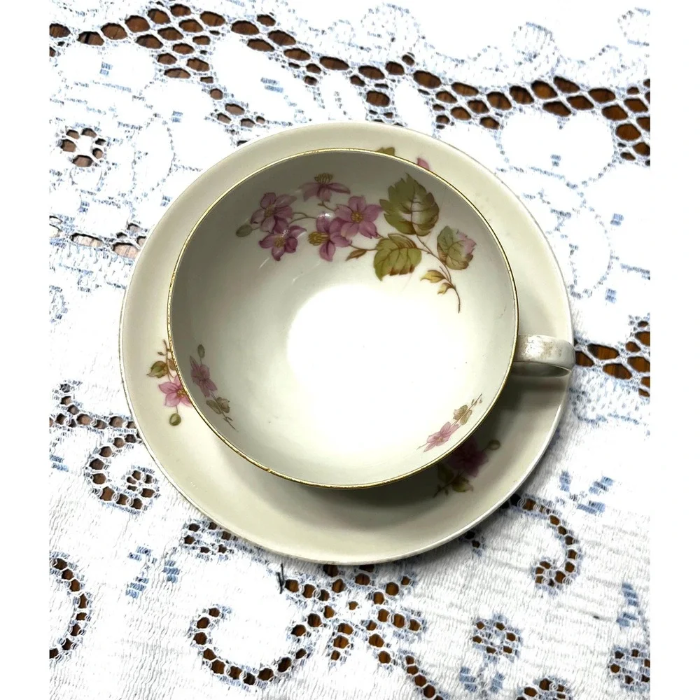 Vintage Johann Vohenstraup Bavaria tea cup set